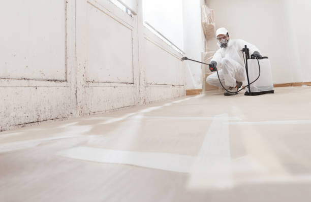 24/7 Emergency Attic Mold Removal experts in Garrett, WA