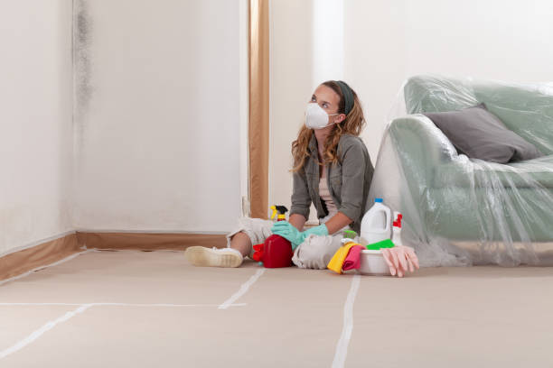 Reliable Mold Cleanup contractor in Garrett, WA by Cheap Mold Removal