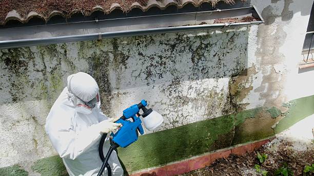 Trusted Attic Mold Removal service in Garrett, WA - Cheap Mold Removal